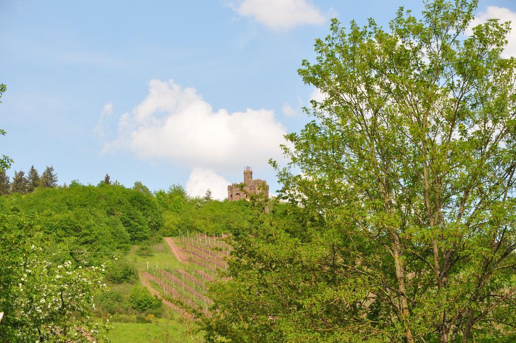 Schroeders Wein-Style-Hotel Trier Bagian luar foto