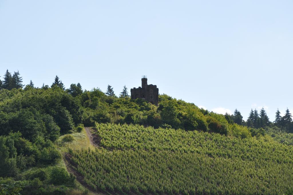 Schroeders Wein-Style-Hotel Trier Bagian luar foto