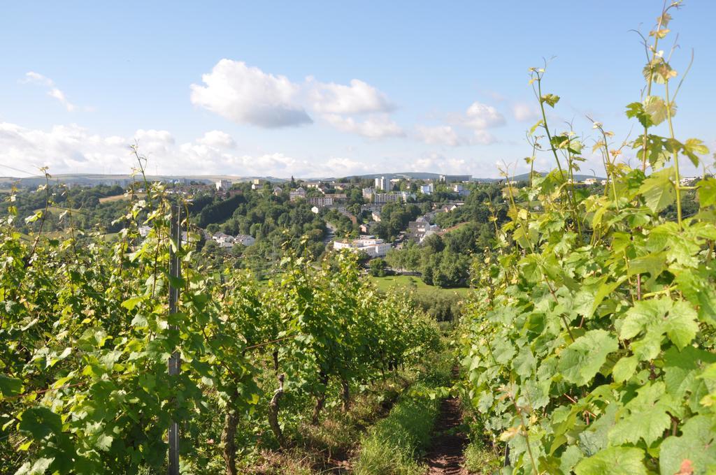 Schroeders Wein-Style-Hotel Trier Bagian luar foto
