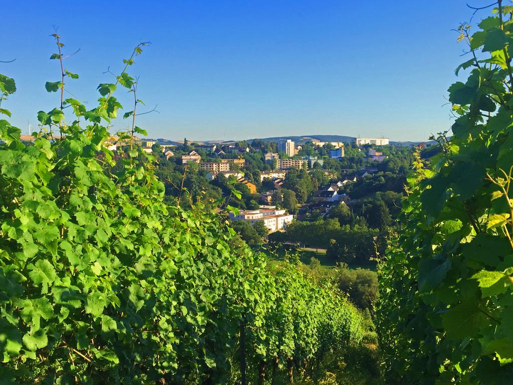 Schroeders Wein-Style-Hotel Trier Bagian luar foto