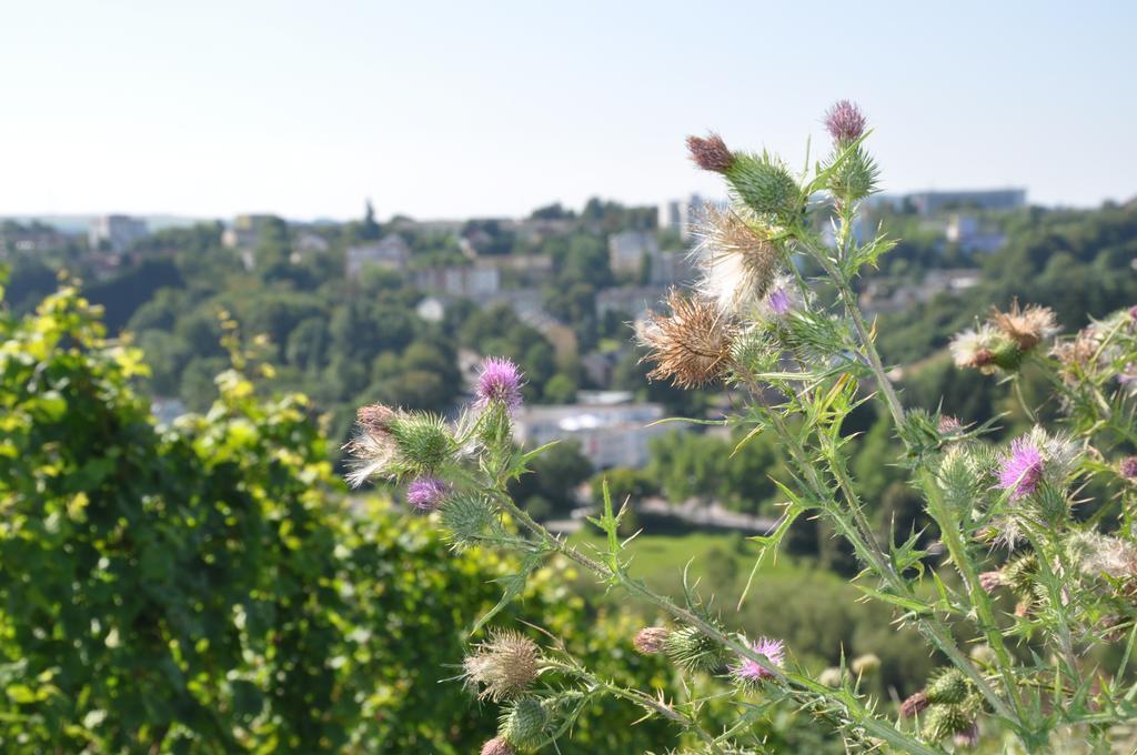 Schroeders Wein-Style-Hotel Trier Bagian luar foto