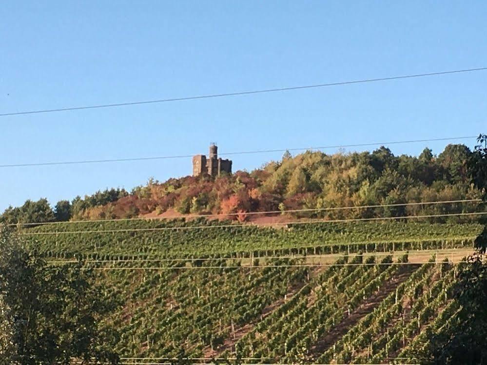 Schroeders Wein-Style-Hotel Trier Bagian luar foto